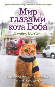 Летний литературный коктейль